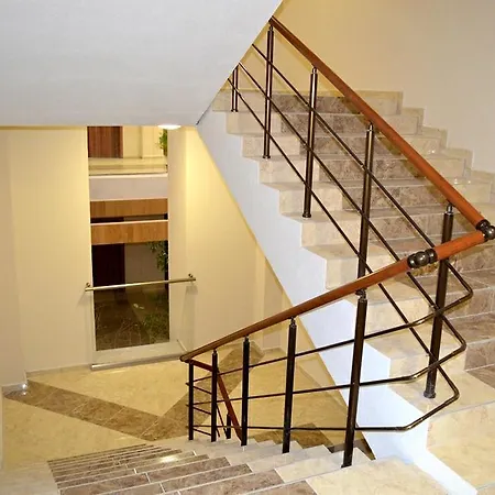 Nikolov Studio *